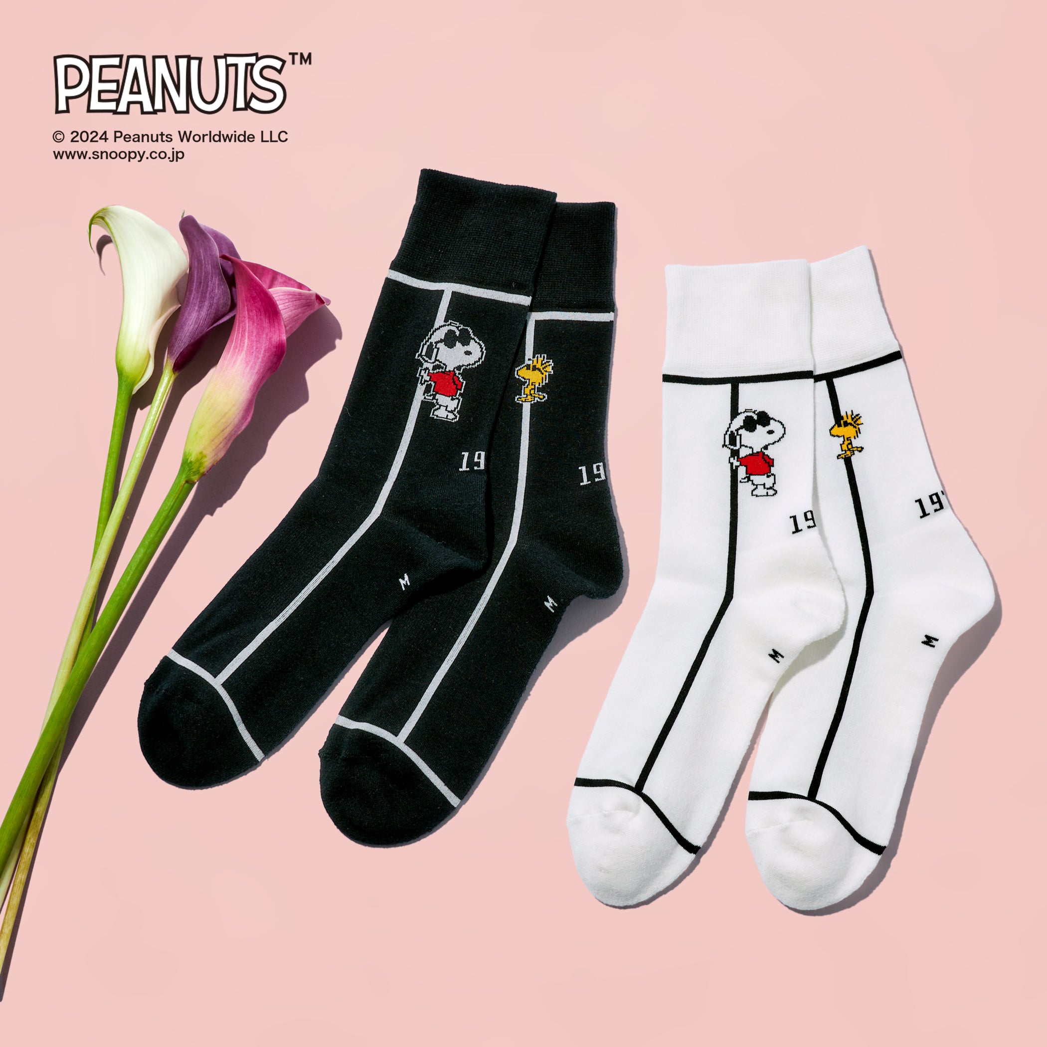 SNOOPY×CHICSTOCKS JOE COOL 全2色