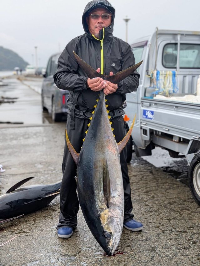 たろきち 丸物22キロ たろきち 丸物22キロ お 手頃 価格アウトドア