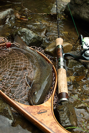 Casket カスケット｜トラウト、バス、ソルトルアー専門店｜通販可能｜