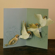 倉敷意匠計画室