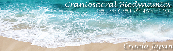 クラニオセイクラル セッション－Cranio JAPAN