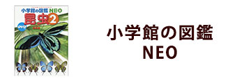 小学館の「図鑑NEO」デラックス25冊セット｜絵本のギフト通販