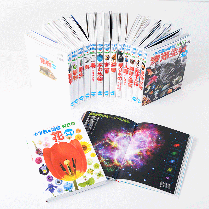 小学校の図鑑NEO 、講談社の動く図鑑15冊セット DVD12枚付き 小学校の