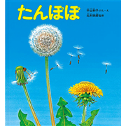 たんぽぽ／平山和子 北村四郎｜絵本のギフト通販【クレヨンハウス】