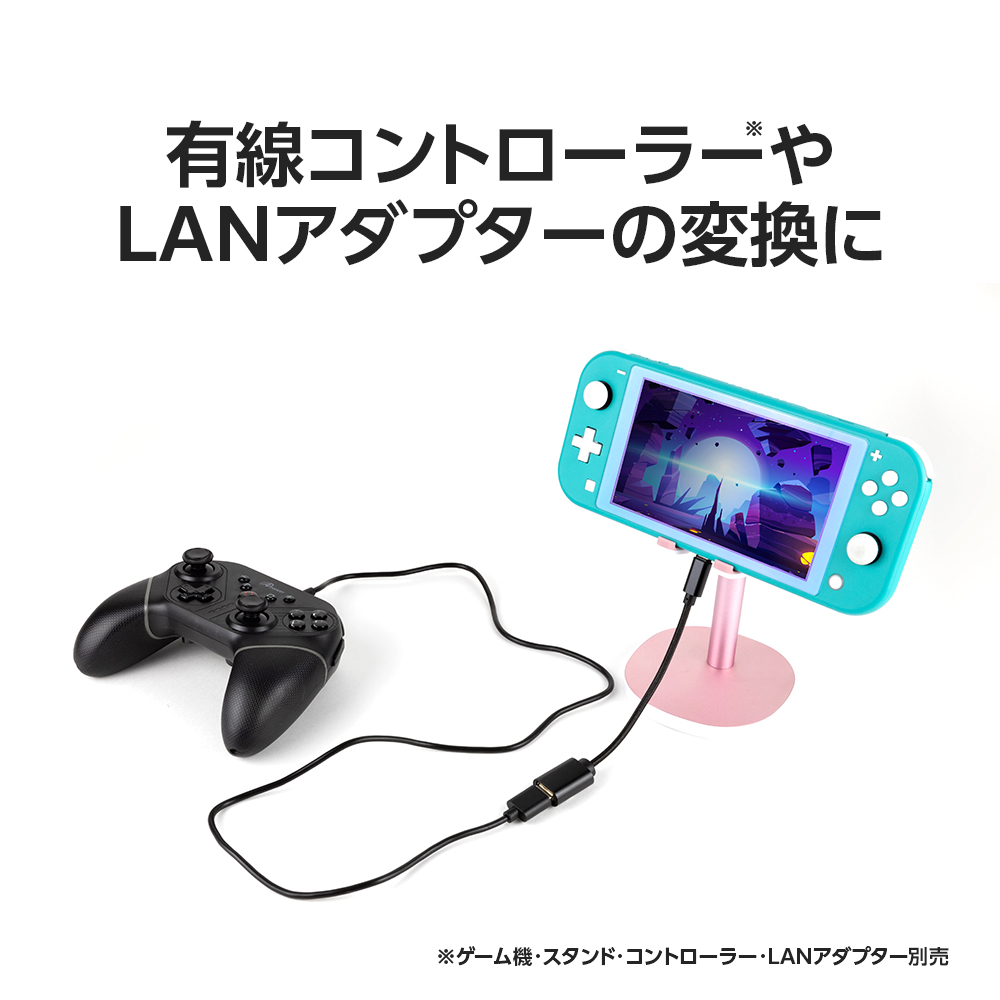 Switch用 USB変換コネクタ | Switch用 周辺機器アクセサリー | 製品