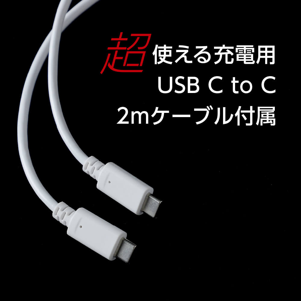 Switch用 超急速！超コンパクトACアダプタ45W | Switch用 周辺機器