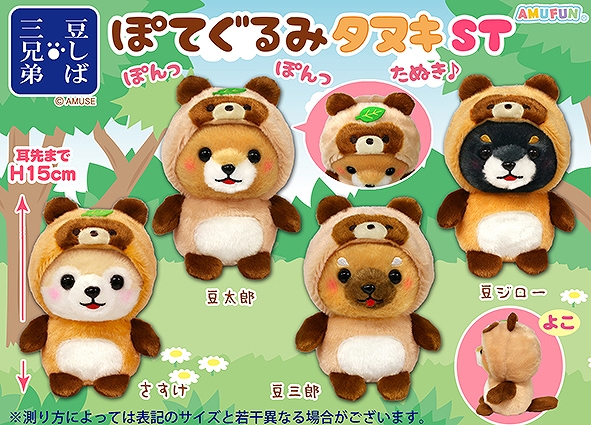 ≪9月の新商品≫豆しば三兄弟ぽてぐるみタヌキ-NEW ITEM！｜アミューズ