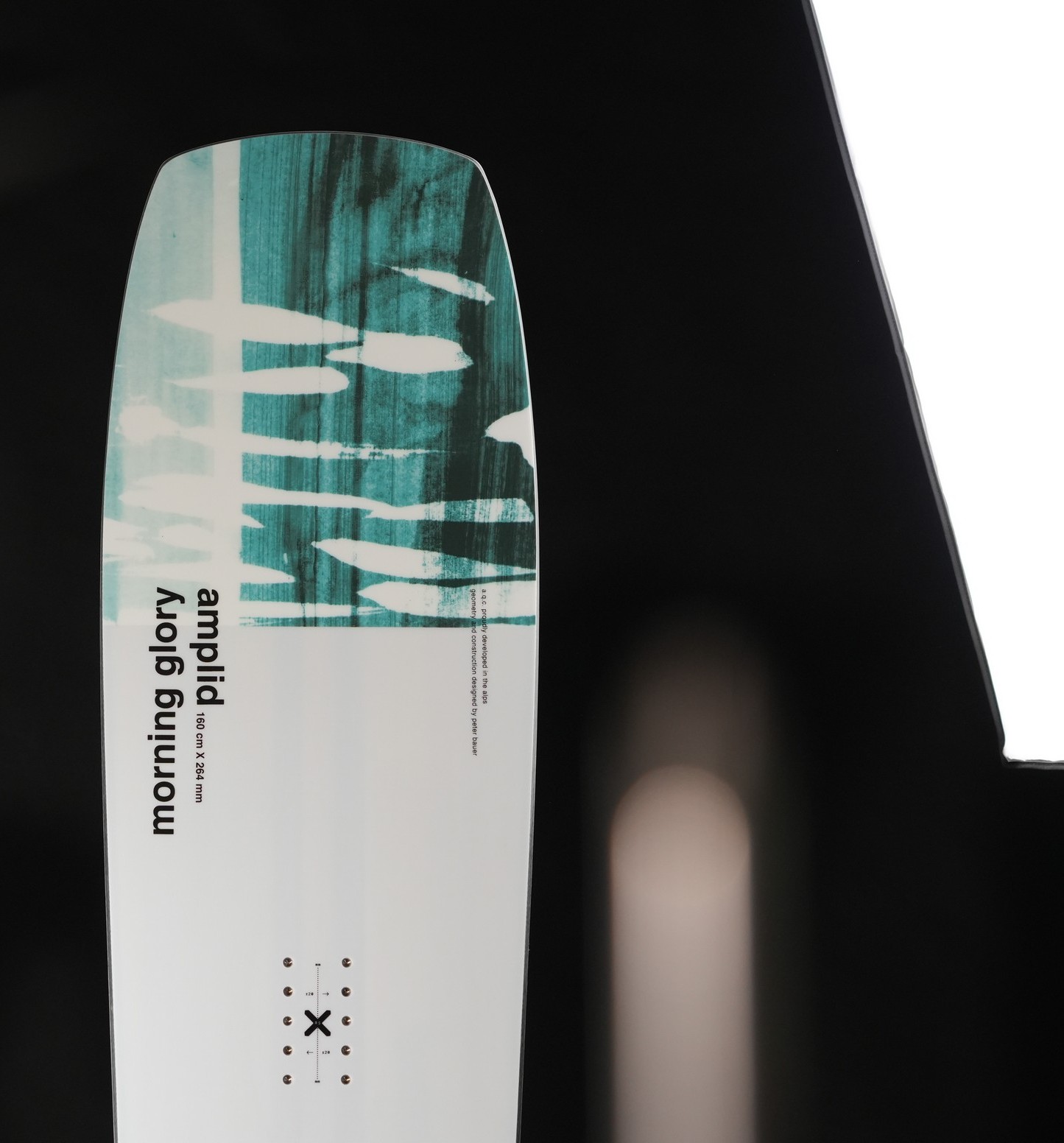 Morning Glory | 160 | 260102-160