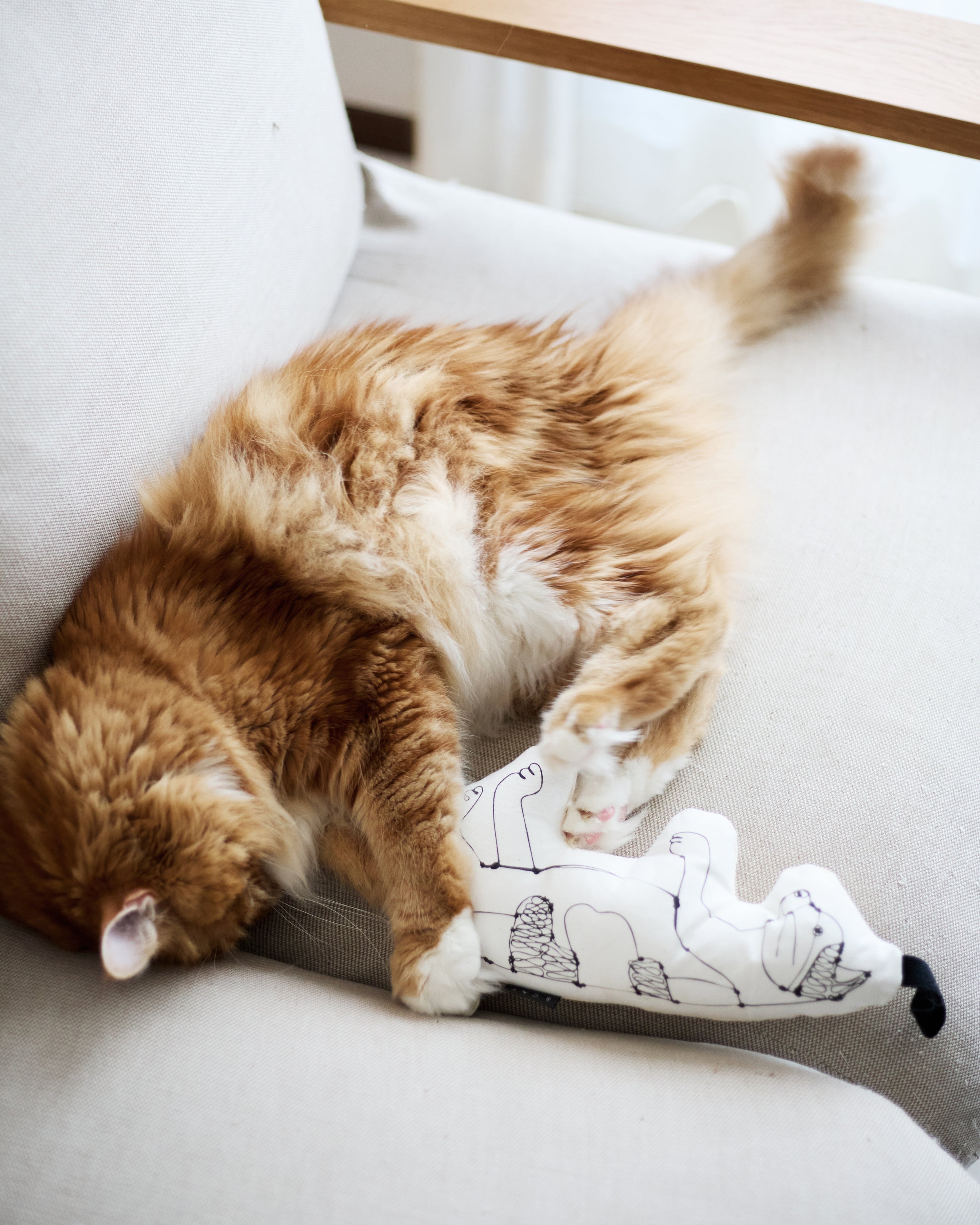 HAyU × &CAT 猫とアートが遊ぶケリケリ「KERI KERI」日本製おもちゃ