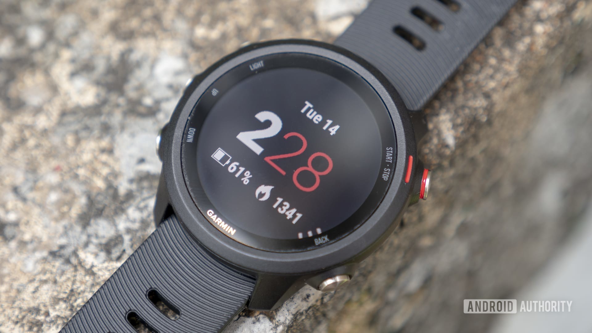 Garmin Forerunner 245 Music review: Still a great buy in 2021