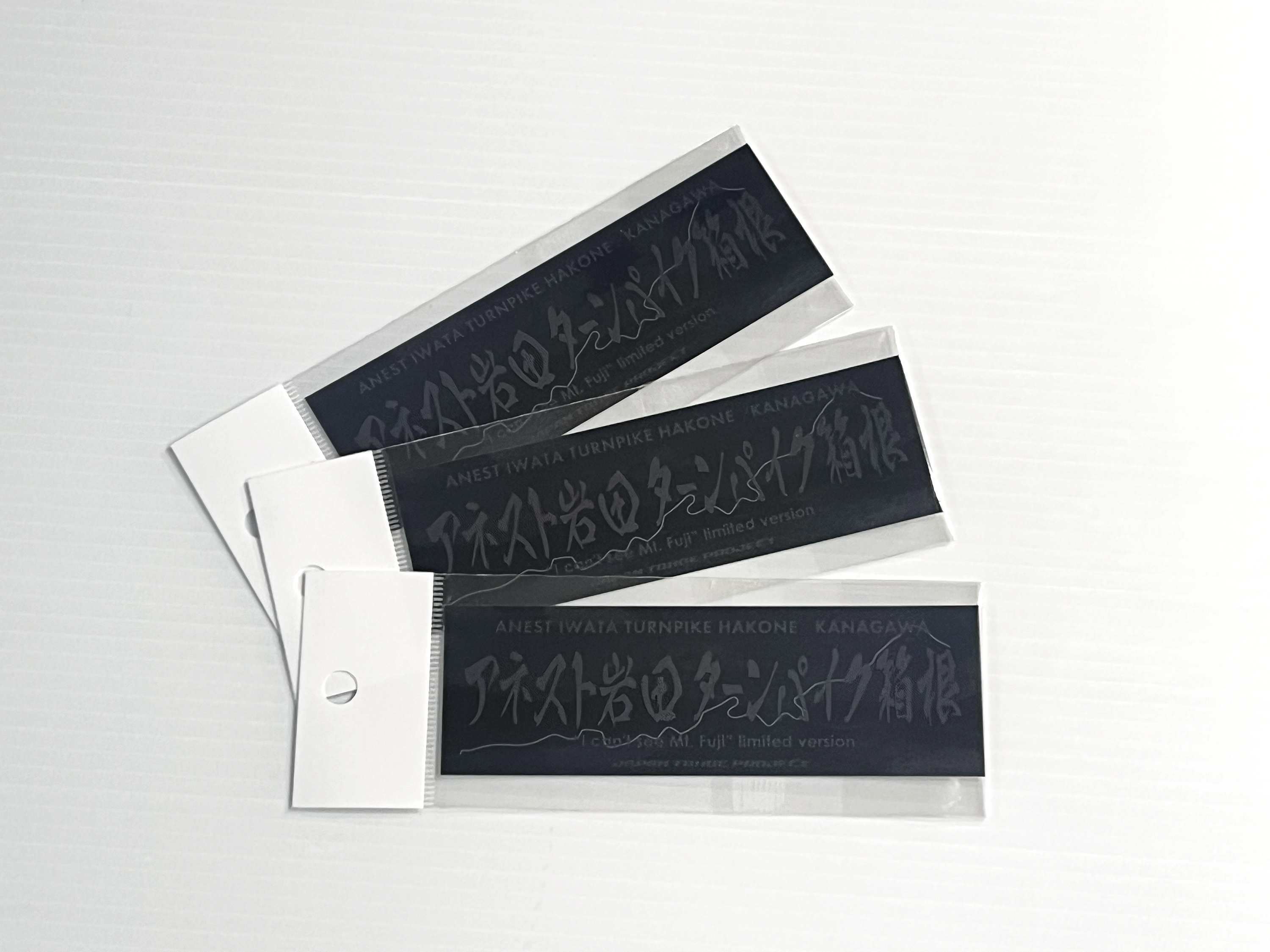 アネスト岩田株式会社 | 「富士山が見えなくてラッキー」アネスト岩田