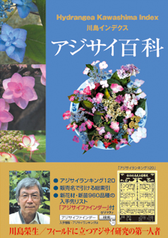 Aboc - アボック社 -アジサイ百科