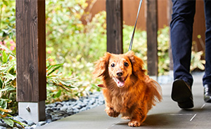 ライムズP FAタイプ ライトグレー｜ビニル床材・機能性床材の通販