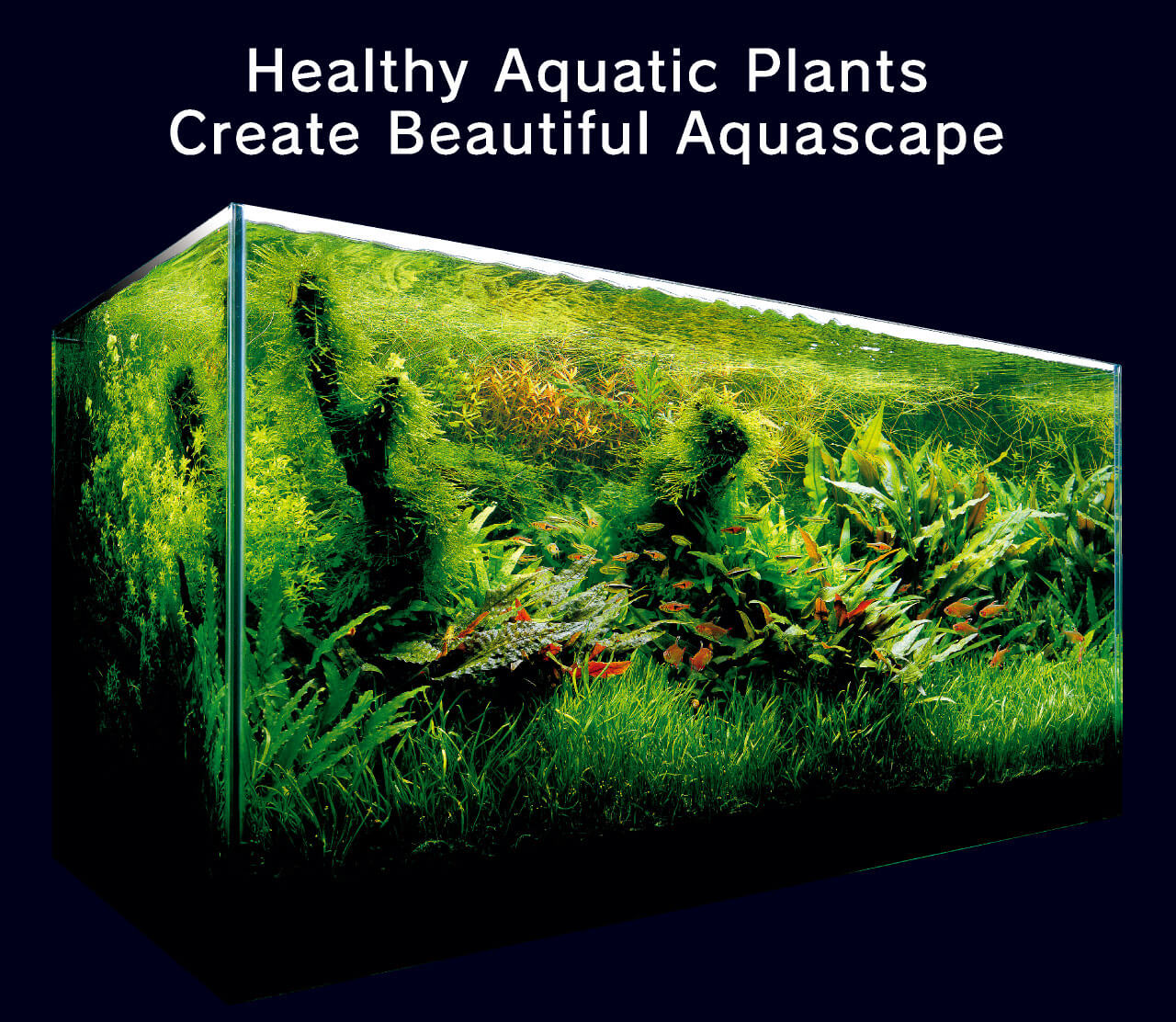 ADA - NATURE AQUARIUM