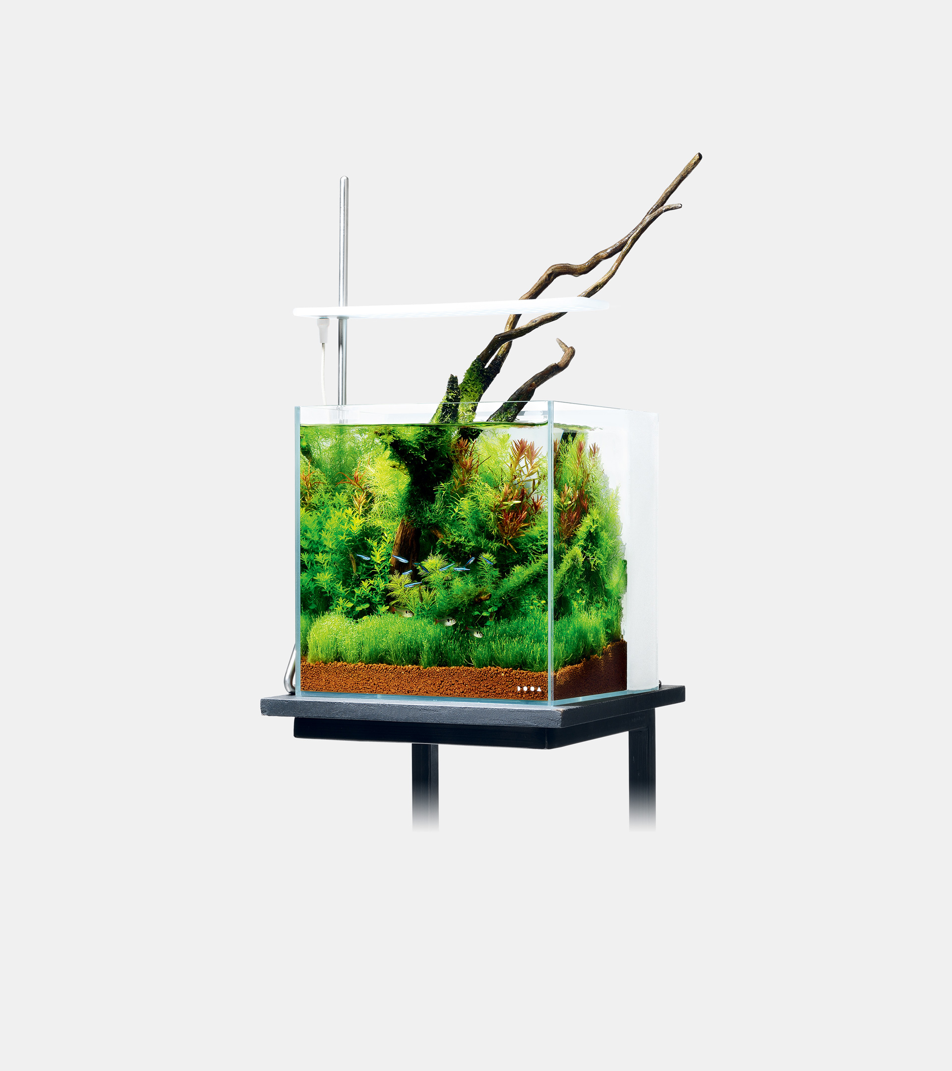 SOL STAND RGB | PRODUCTS | DOOA