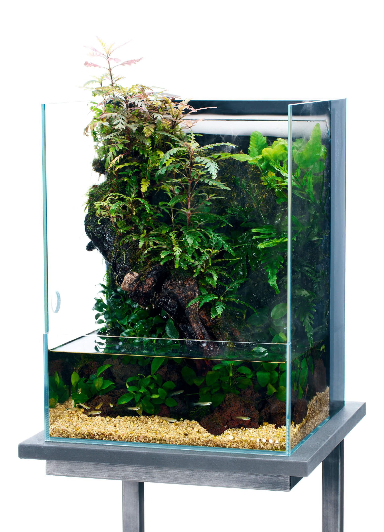 凛1.11 アクアテラリウム 凛1.11様専用 アクアテラリウム