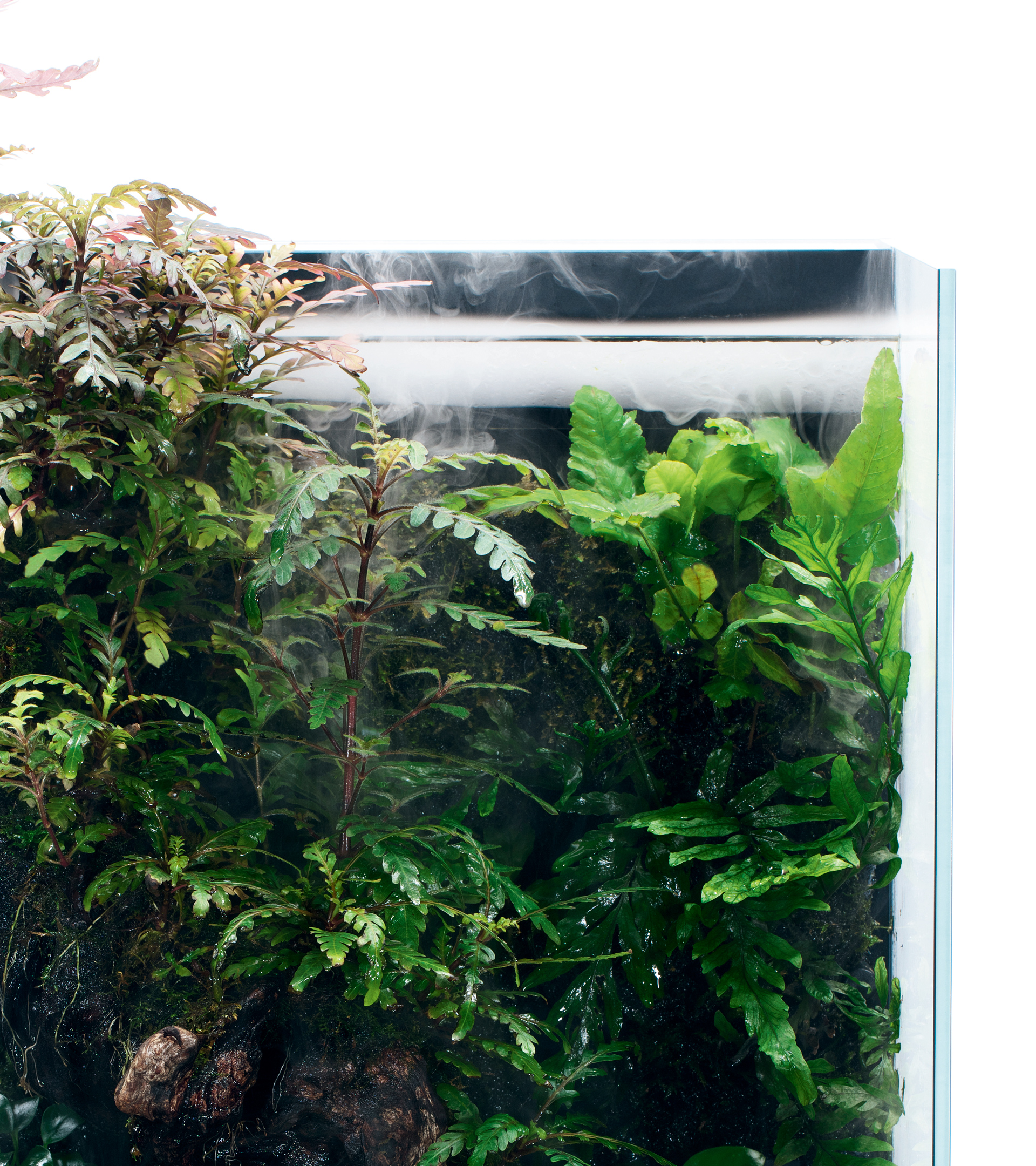 MISTFLOW | PRODUCTS | DOOA