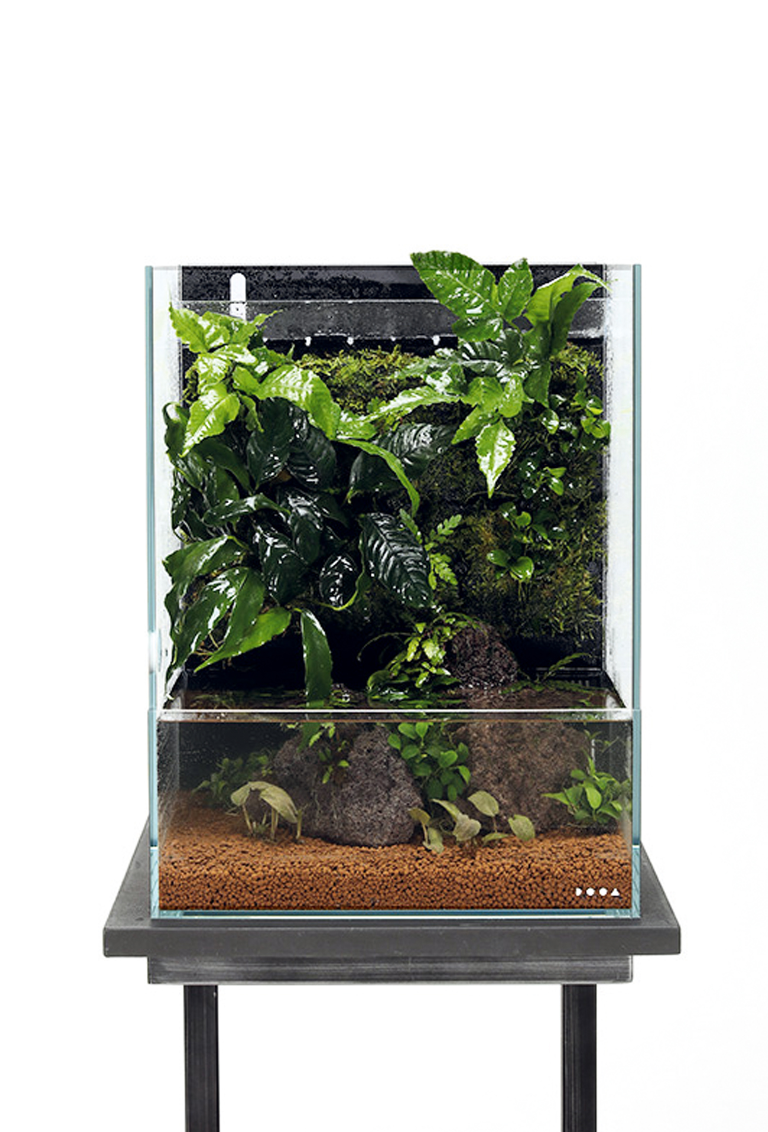 システムテラ 30ではじめるグリーンライフ（後編） | NEWS | DOOA