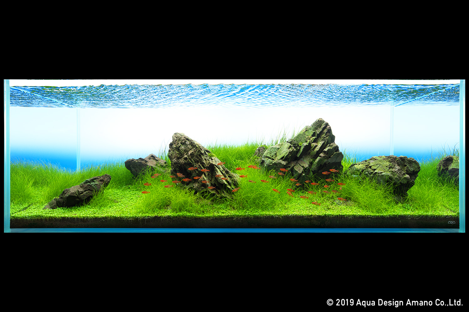 NATURE IN THE GLASS 「蒼天の庭」Part1 | AQUA DESIGN AMANO