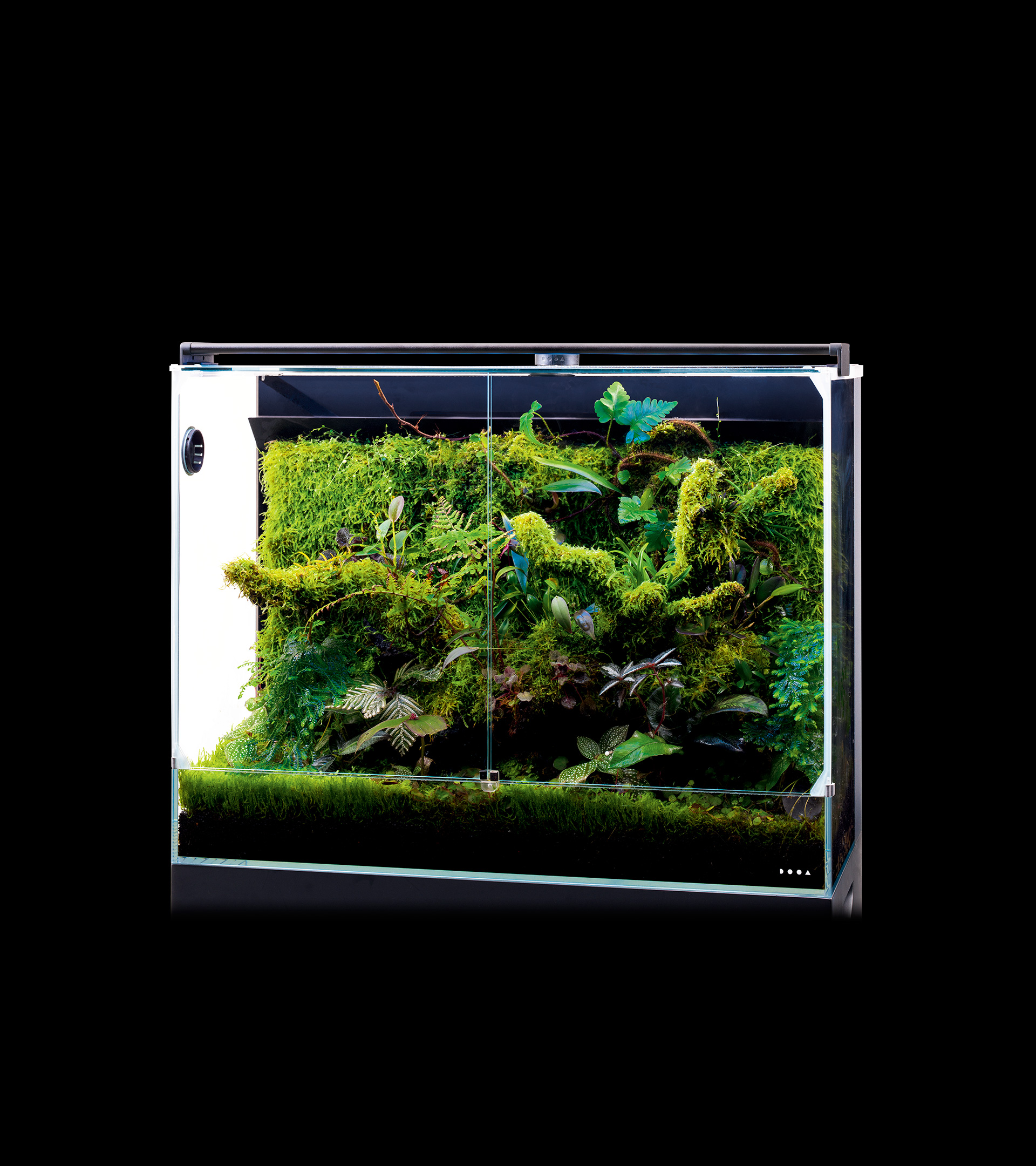 SYSTEM PALUDA | PRODUCTS | DOOA