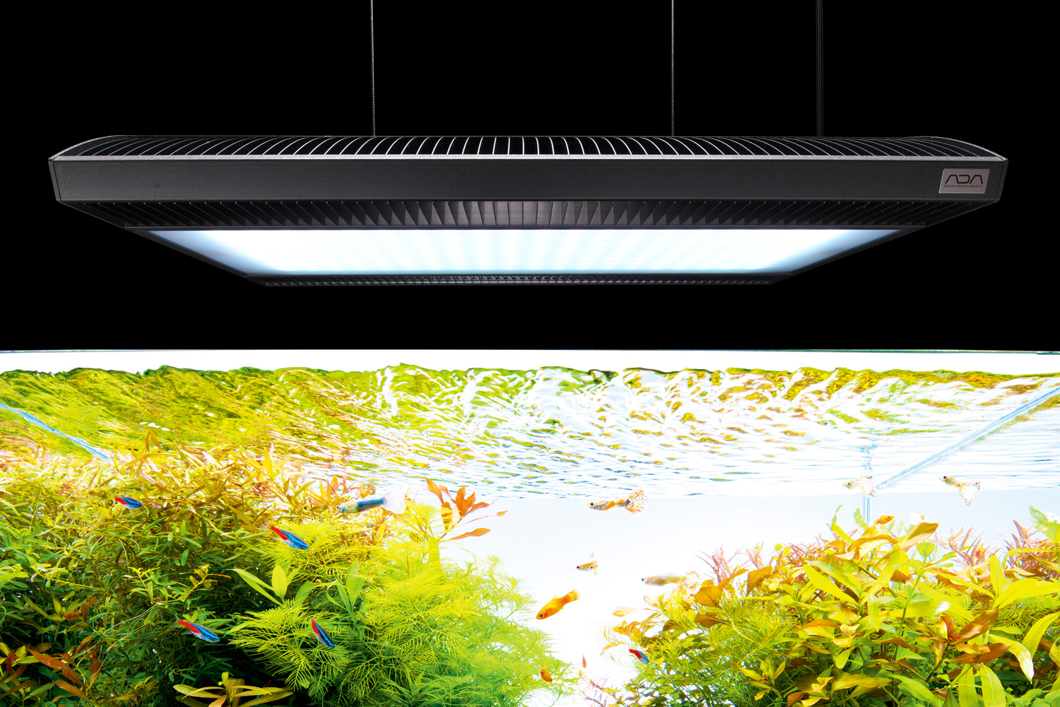 NA PRODUCTS STORY #01 「SOLAR RGB」 | AQUA DESIGN AMANO