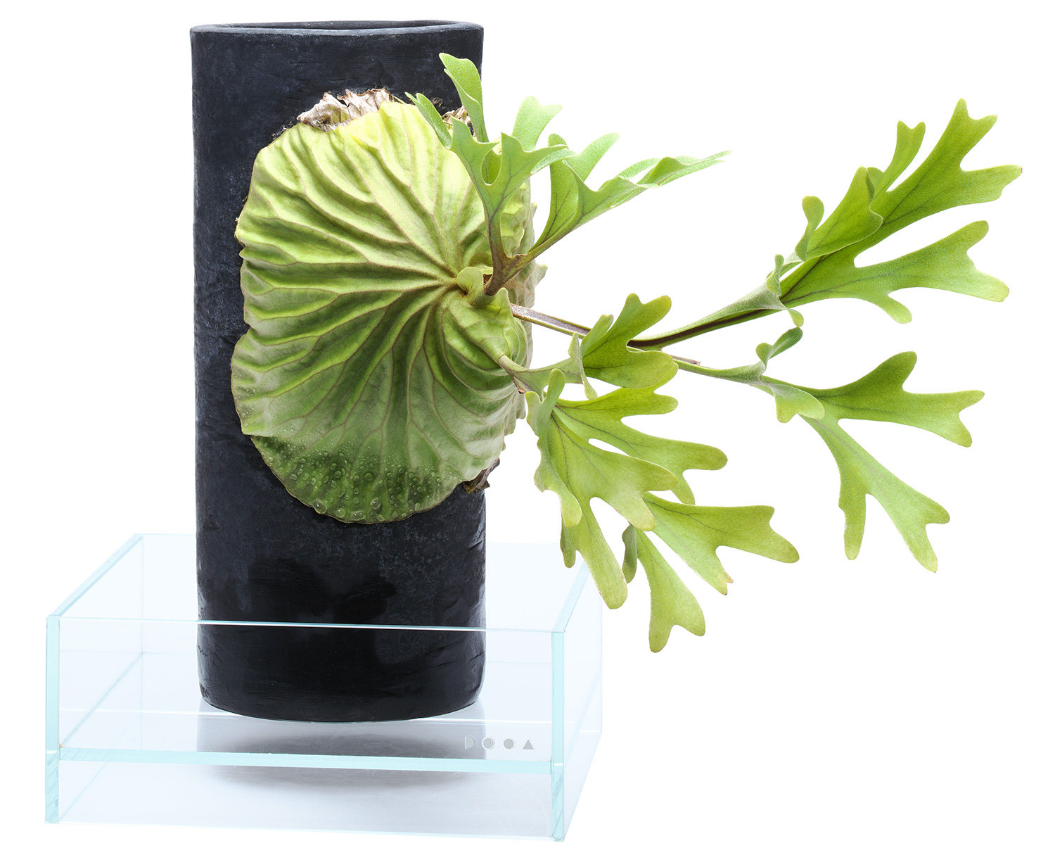 HOW TO ENJOY TERRA BASE PART10 「テラベース作例 3」 | NEWS | DOOA