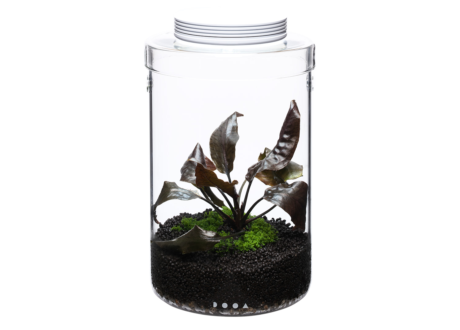 ADAスモールトーク #29 「手軽に身近にグリーンを楽しむ」 | AQUA