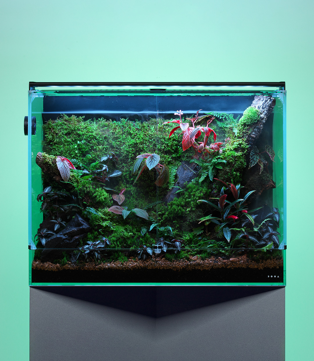 ADA 雲山石 セット 良形 ADA 雲山石 セット 良形 ADA雲山石セット ADA