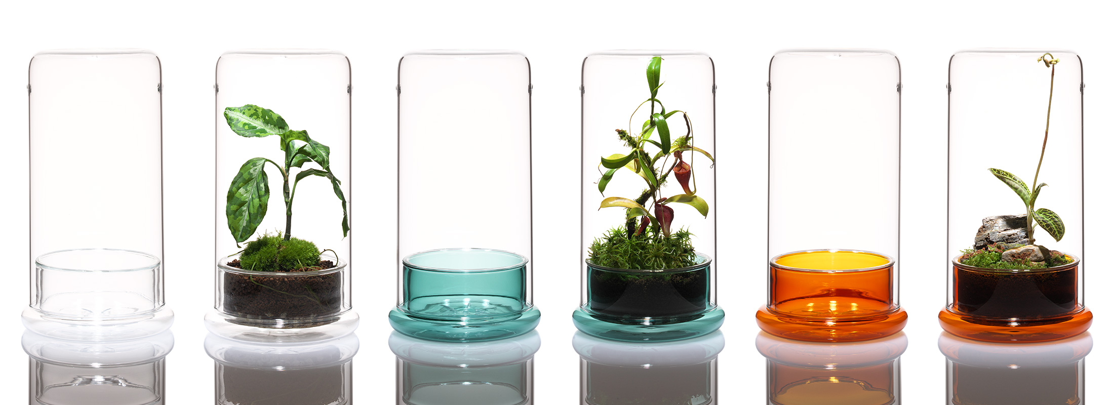 ADA CELL エメラルド 4個セット ADA CELL エメラルド 4個セット CELL