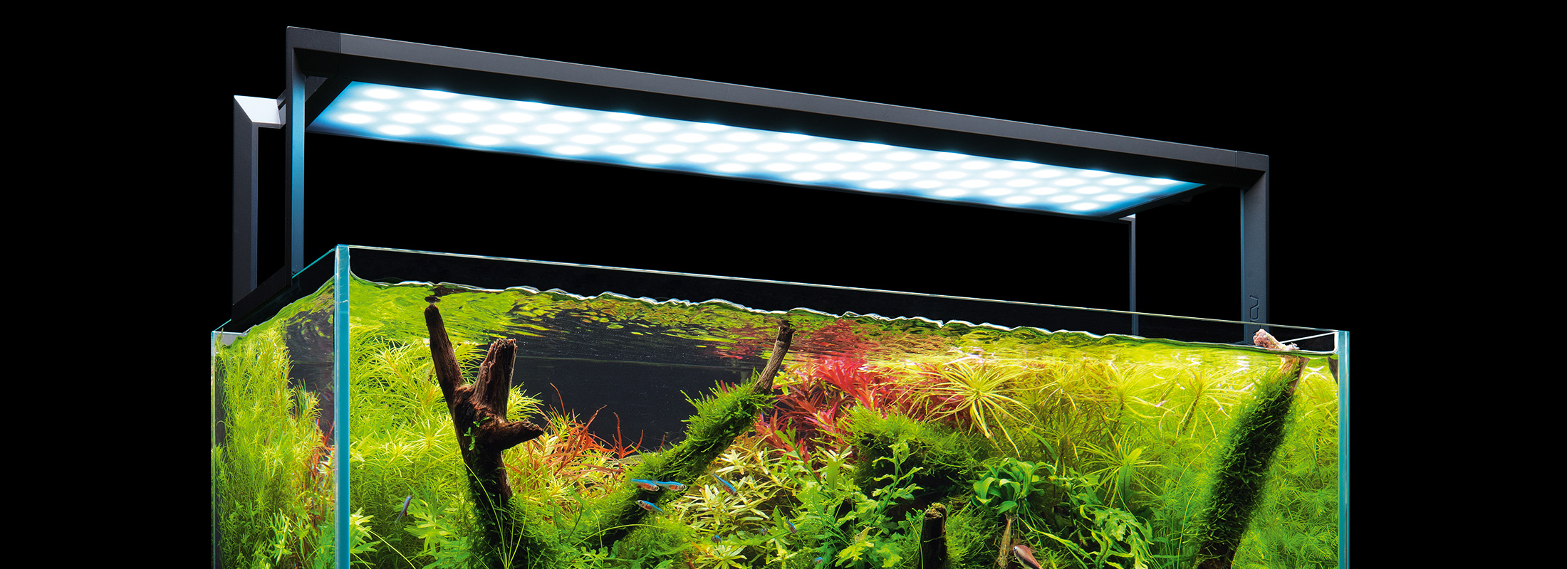 アクアスカイ 新旧モデルの比較 ： 白色LEDとRGB LEDの違い | AQUA