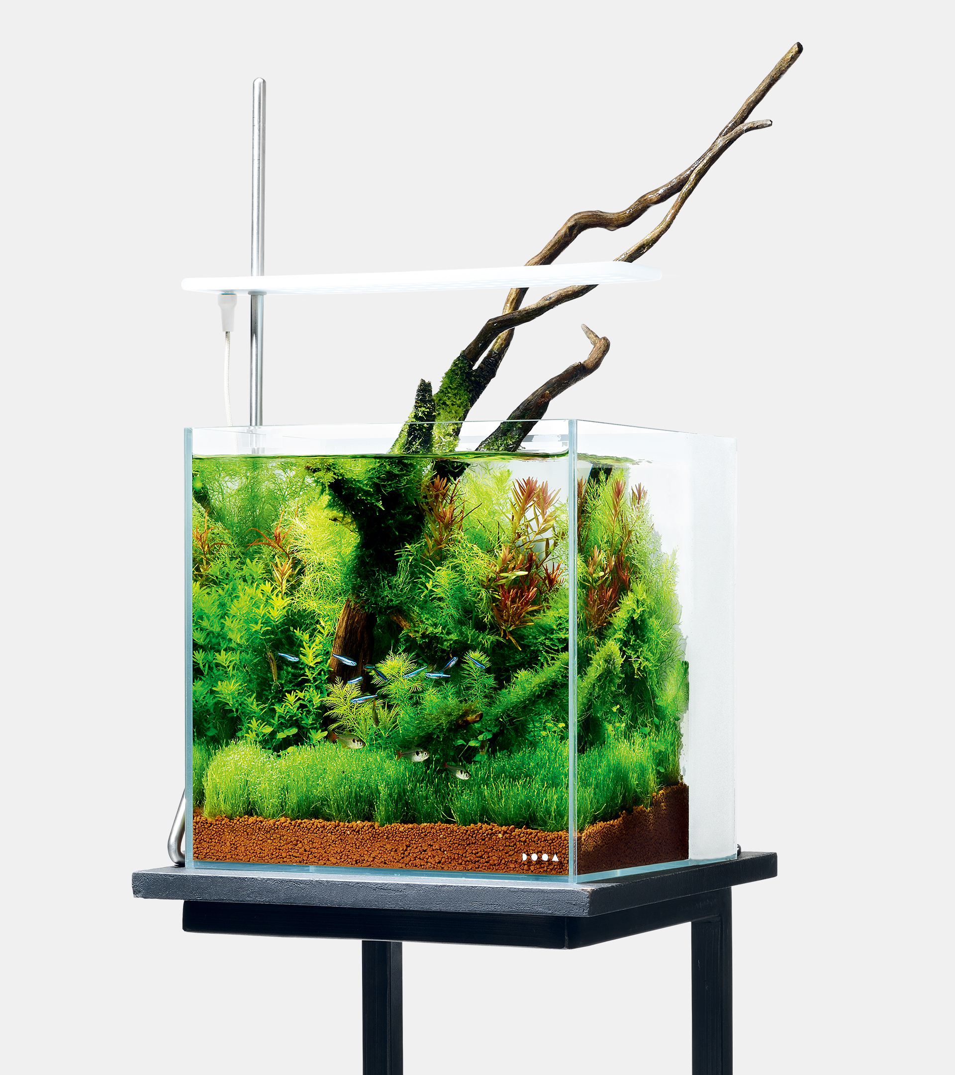 索罗RGB | PRODUCTS | DOOA