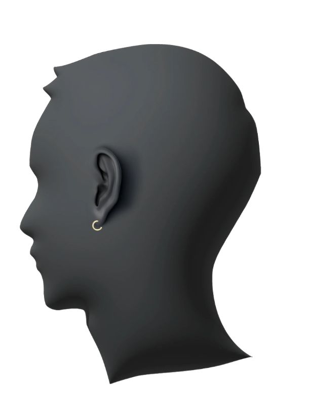 CAREERING - 【片耳用】SELECTION XXX コラボレーションピアス