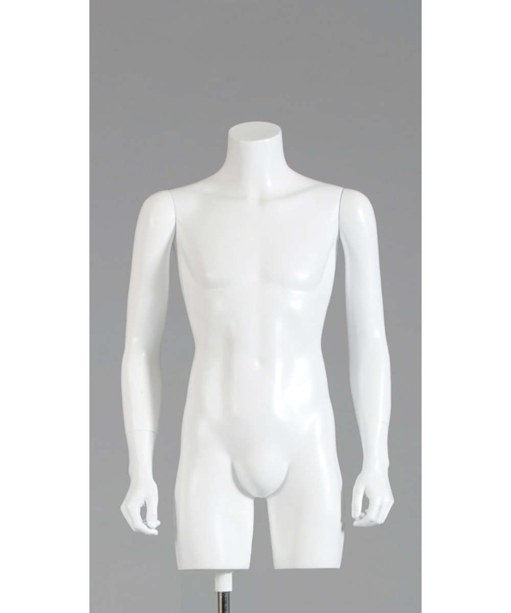 紳士背面トルソー MT262｜トルソー（FRP）レンタルならアディスミューズ