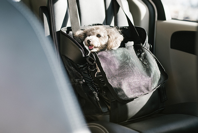 3way Backpack Carrier - AIRBUGGY FOR PET | ペットカートのエアバギー