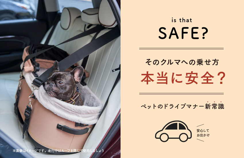 そのクルマの乗せ方、本当に安全？ 万が一の事故からペットを守る