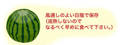 スイカ 西瓜 上手な保存方法とは | さくらんぼ・ラフランス・山形