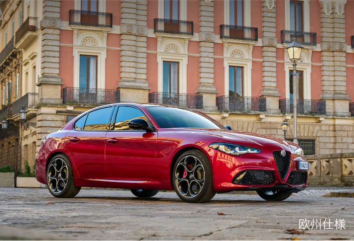 新車特別購入サポート