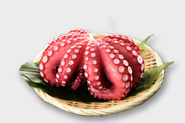 タコ（スナダコ） | Alpex Japan