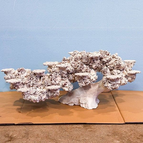 擬岩 人工ライブロック | 海水魚通販はアクアギフト