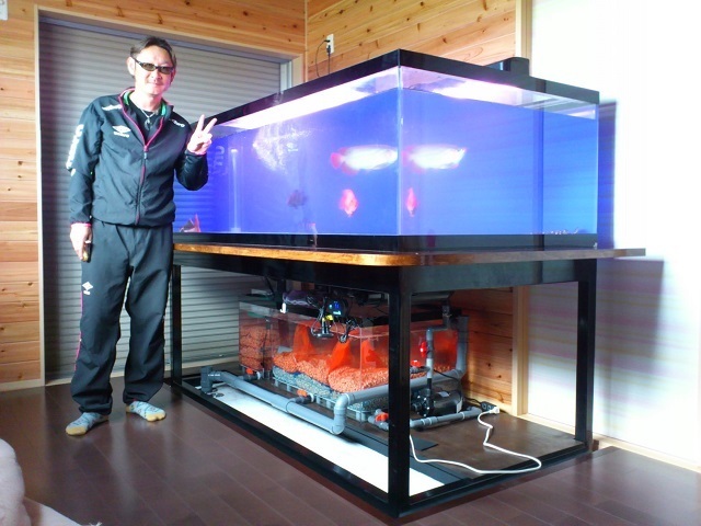 水槽製作例『熱帯魚・アロワナ・水槽設備の専門店』 - アクアショップ