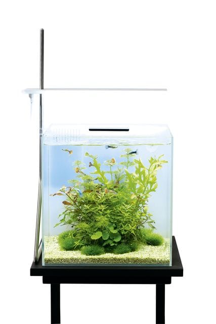 DOOA System Aqua 30 & SOL Stand G - | Aquasabi | Aquasabi