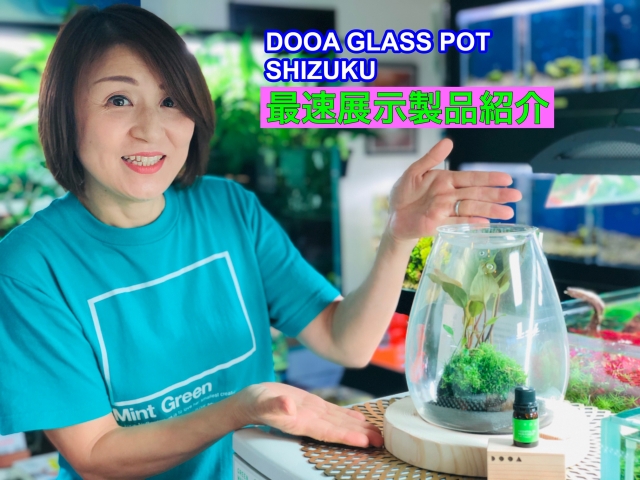 DOOA GLASS POT SHIZUKU | アクアレビュー｜ADA正規代理店ネイチャー