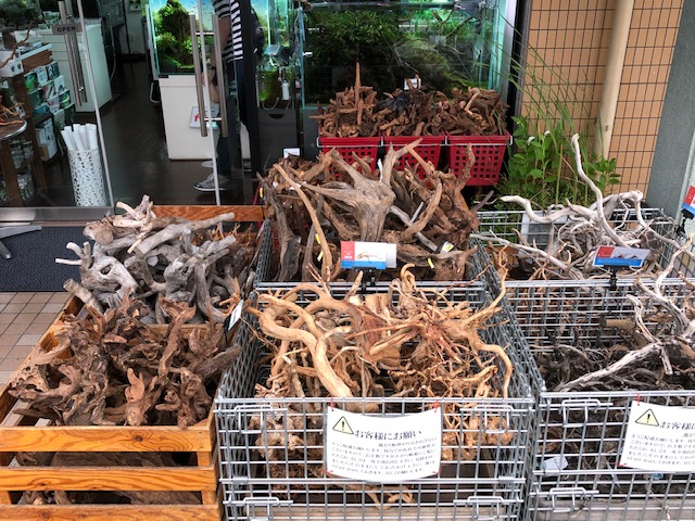 流木 大量入荷 | アクアレビュー｜ADA正規代理店ネイチャー