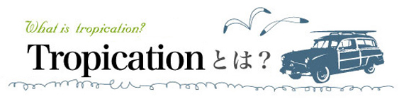 三線 販売｜沖縄の三線専門店【ASOVIVA】