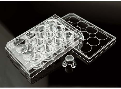 BM - 12セルカルチャーインサート/12ウェルプレート 0.4μm PET