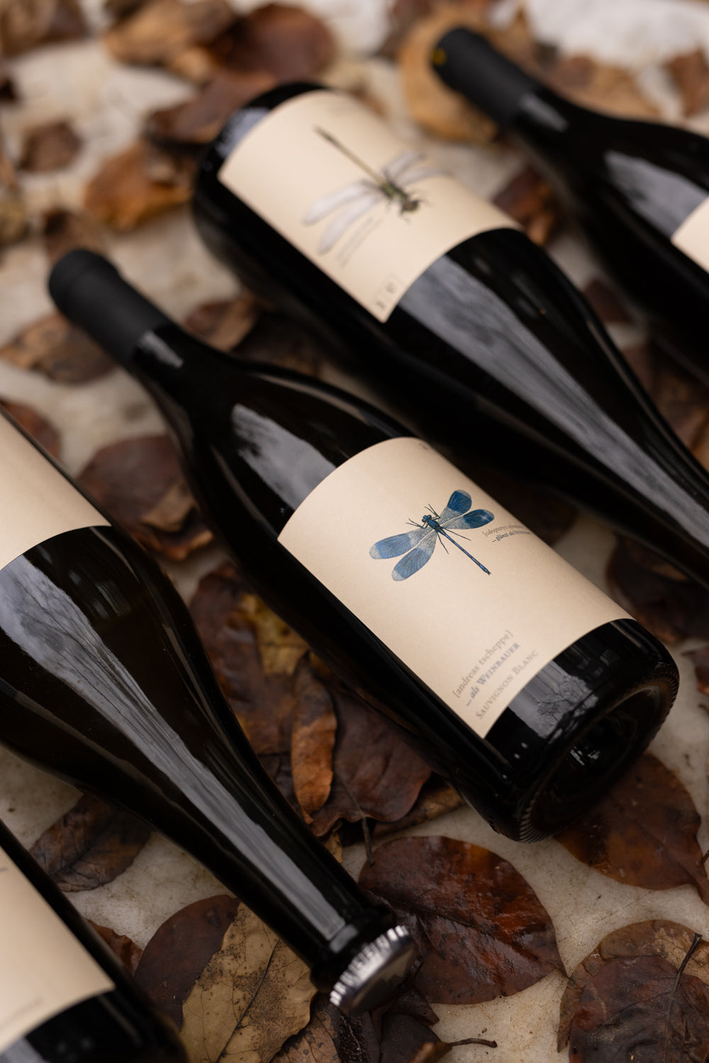 Andreas Tscheppe Blaue Libelle – Bottega Volo