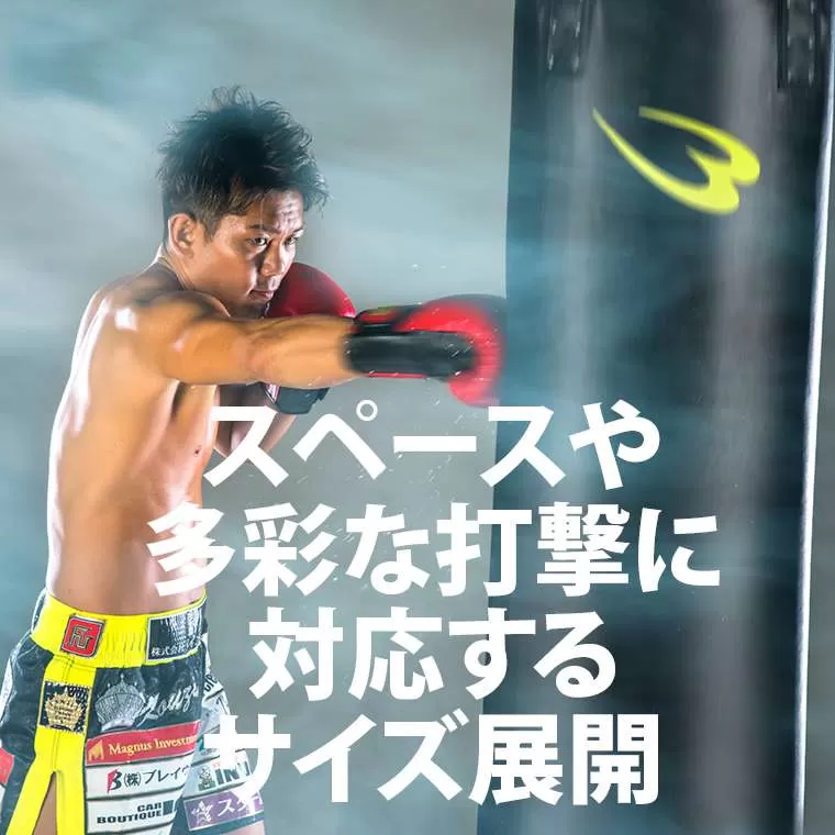 サンドバッグスタンド5セット2 60cm TM158ST206｜BODYMAKER