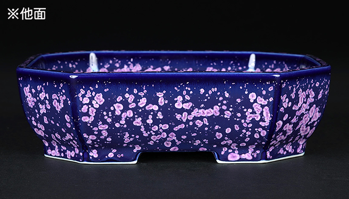 平安泉山紫結晶隅切長方鉢 | 盆栽、盆栽書籍、盆栽鉢の通販│近代出版