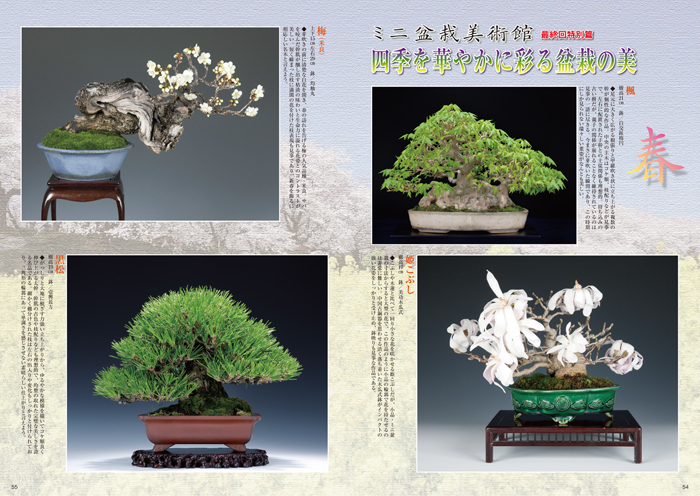 隔月刊「山野草とミニ盆栽」18年初夏号 | 盆栽、盆栽書籍、盆栽鉢の