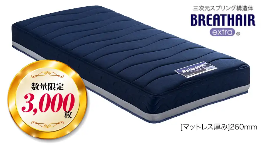 フランスベッド ボディコンディショニングマットレス - マットレス